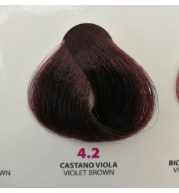 Tintura Wind Colour 4.2 Castano Viola 100 ml